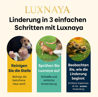 Hautschutzspray, unterstützt von Tierärzten